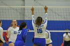 Wheaton Women's Volleyball  Wheaton Women's Volleyball vs Bridgewater State University. : Wheaton, Volleyball, BSU, Bridgewater State College